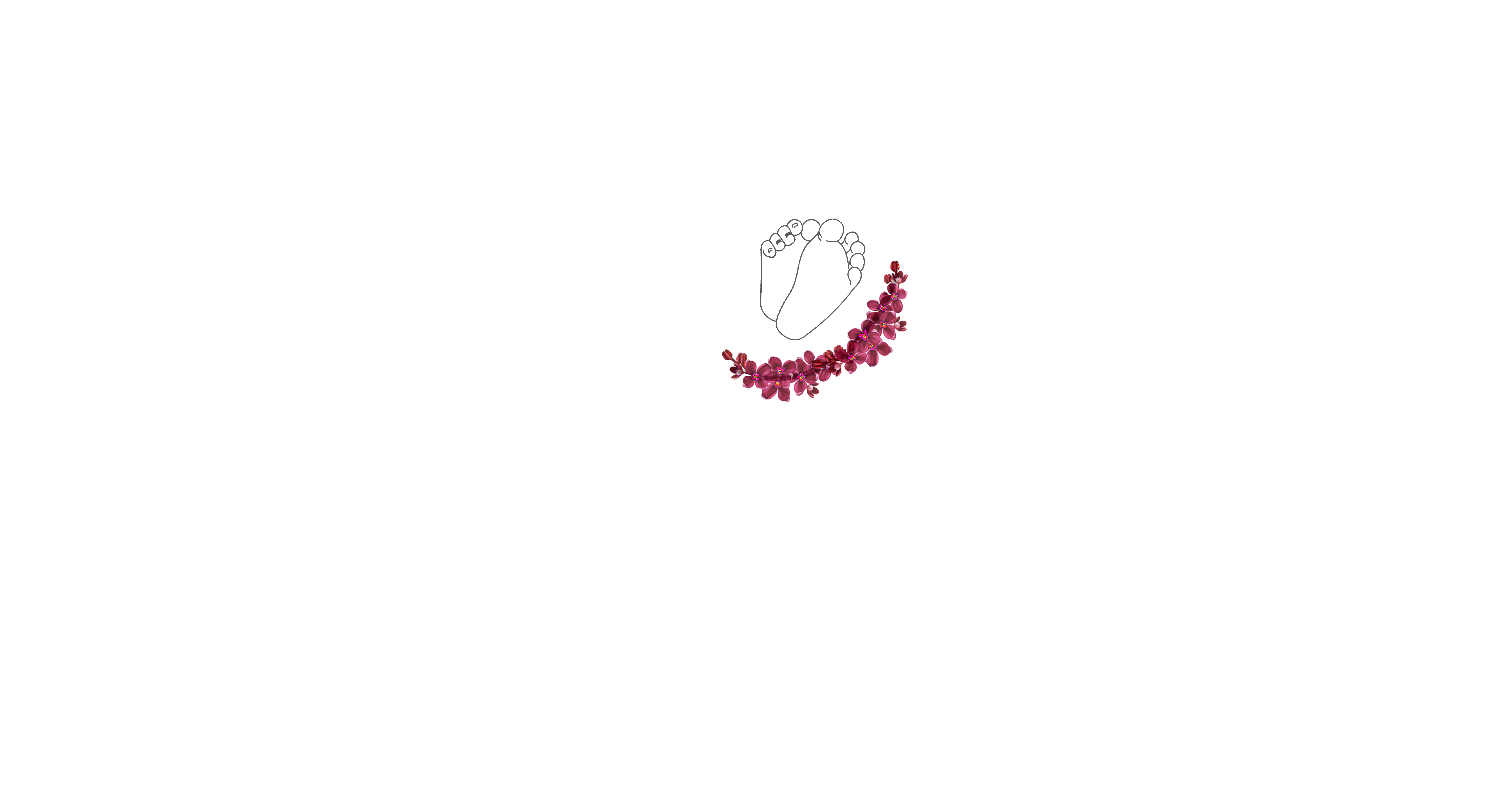 NativityStep Photography Logo