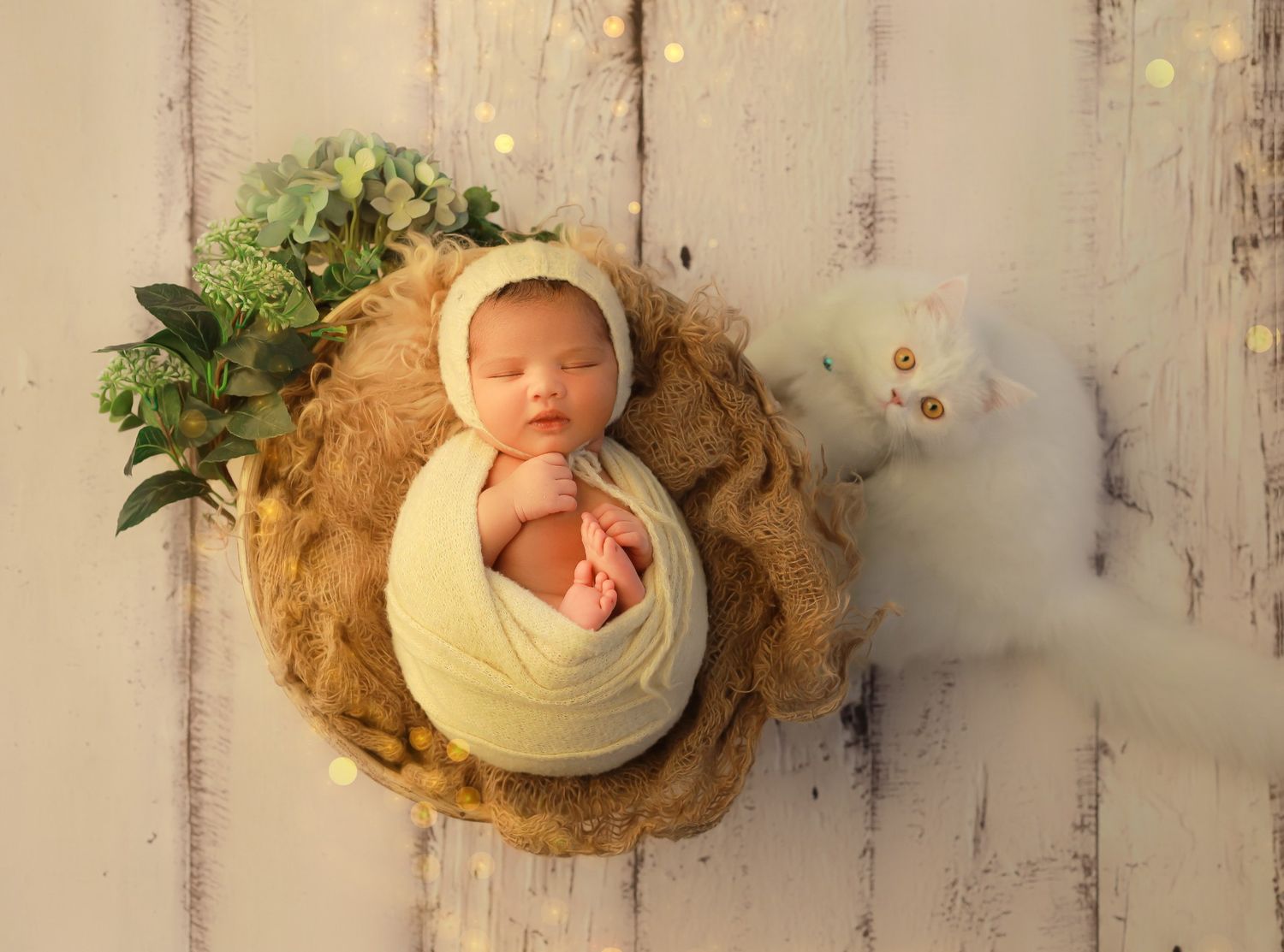 Rising to fame at NativityStep Photography